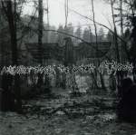 Dead Reptile Shrine - "A Journey Through the Darkest of Forests" // 2005