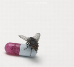 Red Hot Chili Peppers - "I'm With You" // 2011