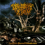 Disfigurement Of Flesh - "Abnormal Dismemberment" // 2012