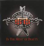 Michael Schenker Group - In The Midst Of Beauty // 2008