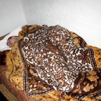 2006.02.09-10 Н. Челны Алконост + Аркона