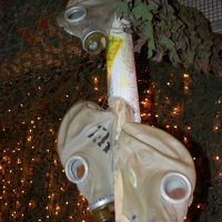2006.05.12 Благотворительный концерт, 'ЧЕ!