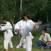 2006.07.15 Магнитная буря