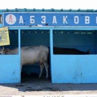 2006.07.15 Магнитная буря