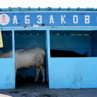 2006.07.15 Магнитная буря
