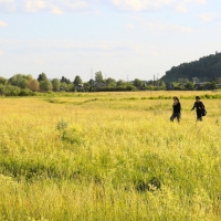 2009.06.20 Железный фарш X