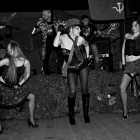 2011.02.23 Звероформа 