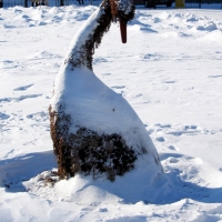 2006.02.09-10 Н. Челны Алконост + Аркона